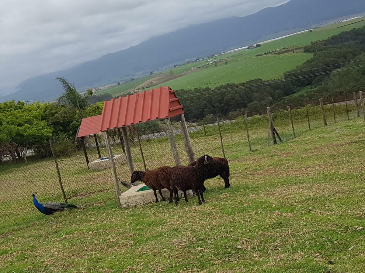 Bed and Breakfast Hartsklop Guest Farm Glentana Exterior foto