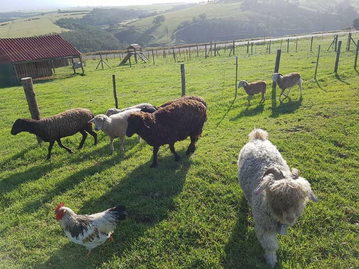 Bed and Breakfast Hartsklop Guest Farm Glentana Exterior foto